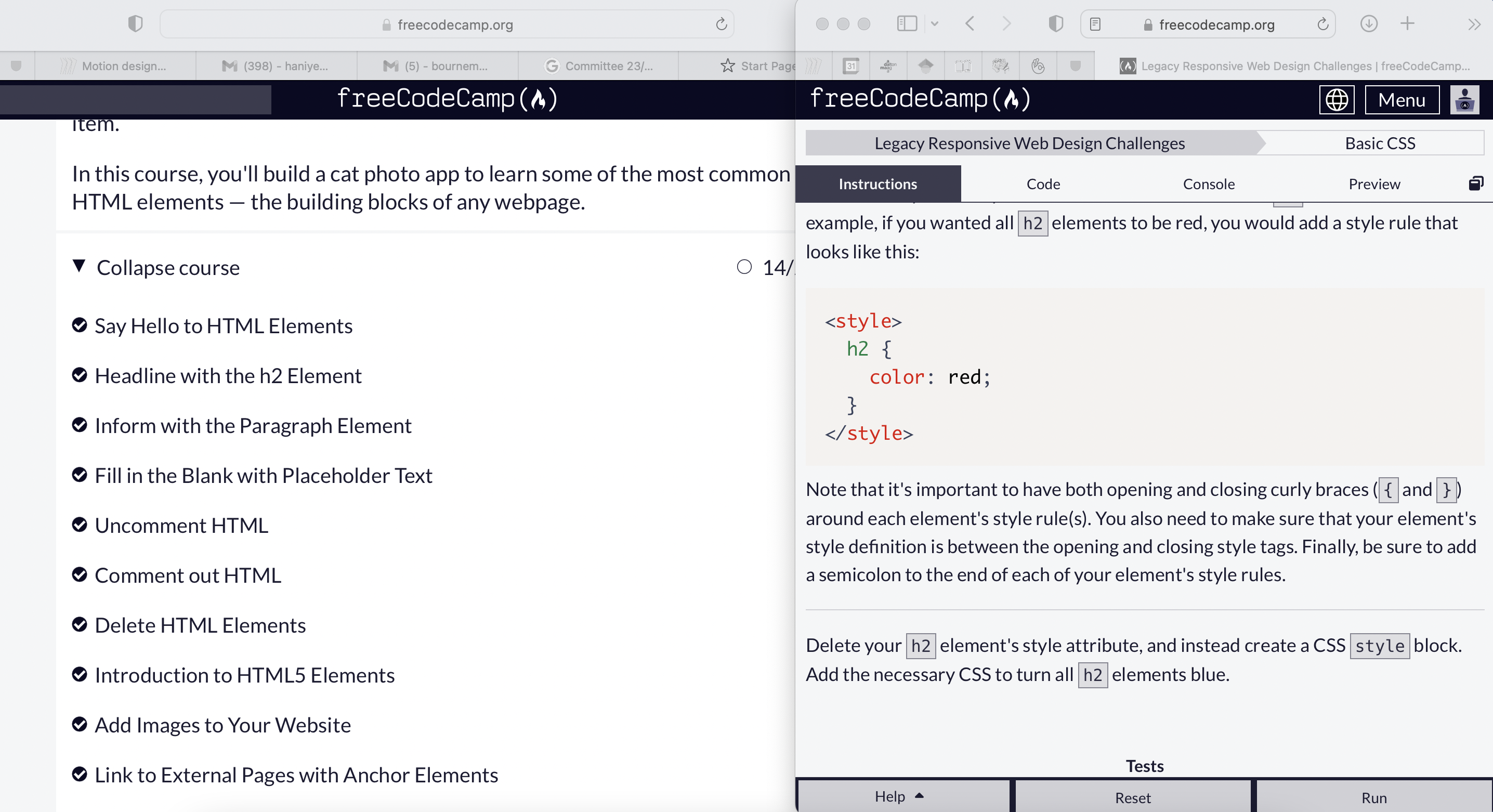 learning on freecodecamp