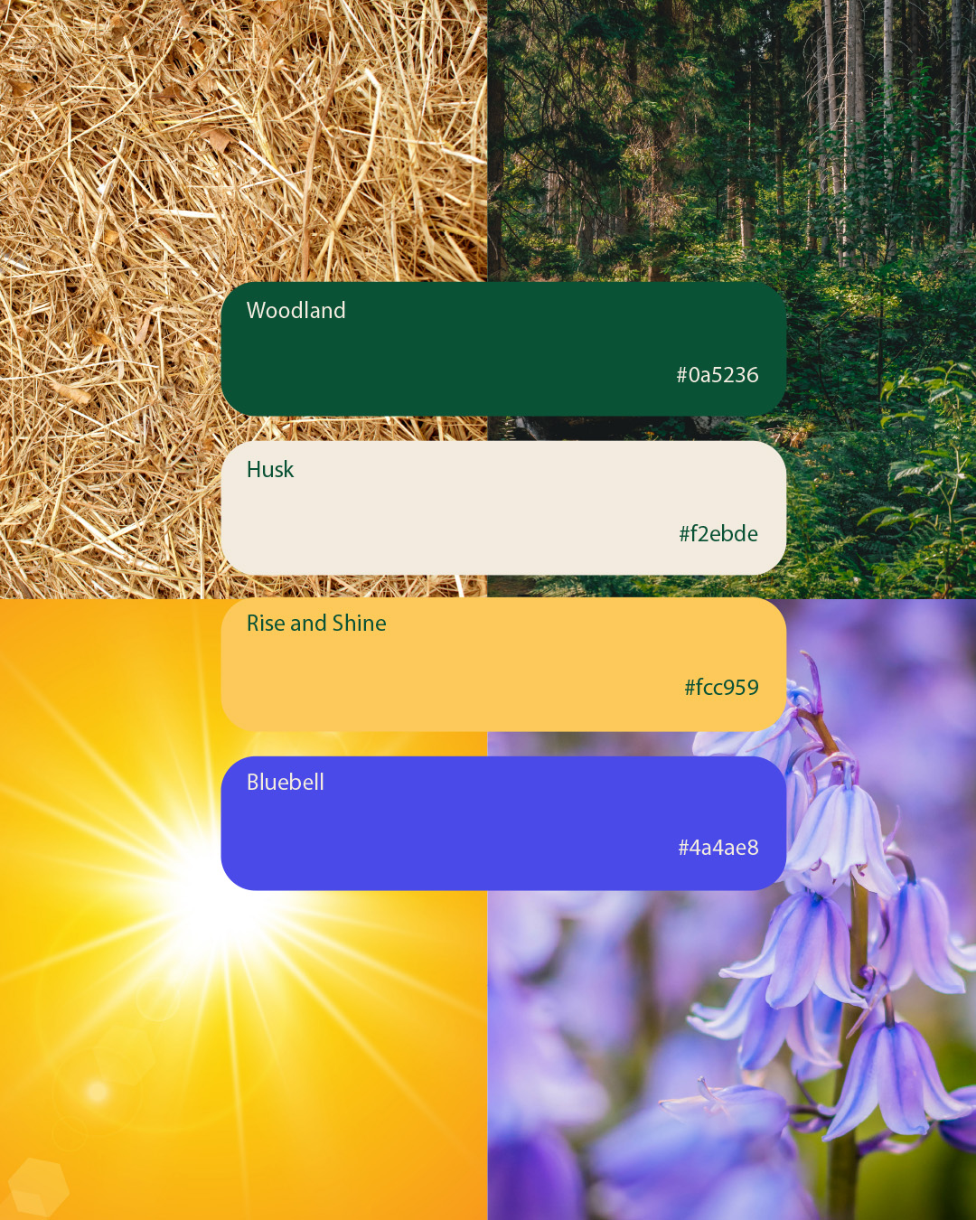 Khapli's colour palette